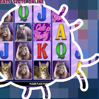 Cats slot machine