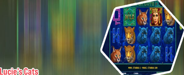 Free slots cats